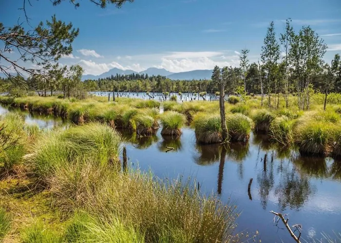 Bayerisches Refugium Mit Sauna Prázdninový dům Tittmoning